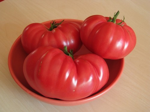 Marmande historische