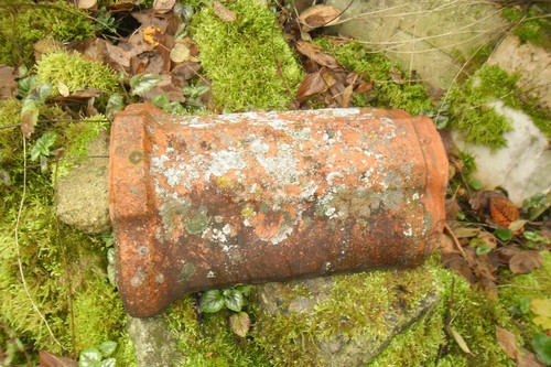 Alte bemooste firstziegel - alte,