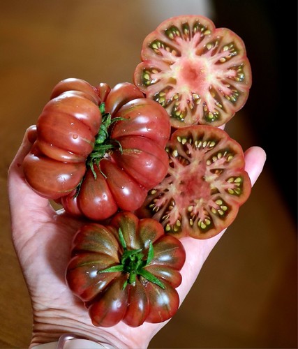 Tomatensamen fleischtomate - tomatensamen,