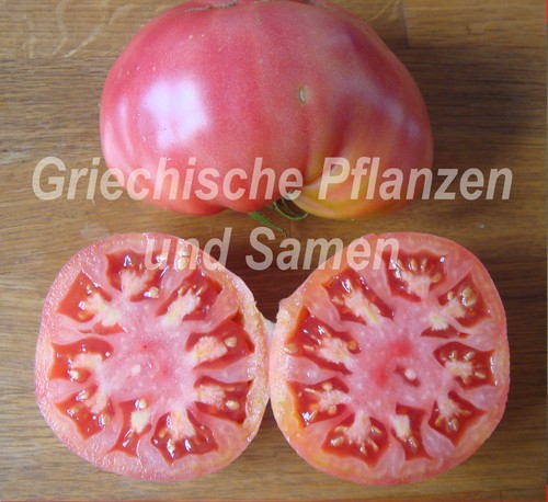 Schlesische himbeere - 🔥,